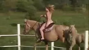 3 Creepers Peep on Squirter Sex - un travail pour l'épée de samouraï