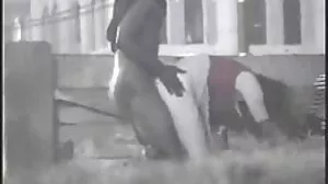 Blacked : la superbe beauté Milena séduit le propriétaire sexy sur PornHD