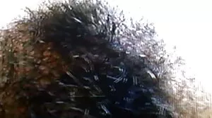 RealityKings: S'étirer sur PornHD avec Ashlyn Peaks