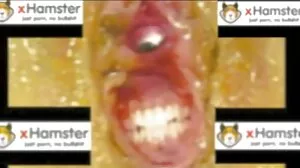 BRAZZERS : Sexe en cuisine avec Rachel Starr sur PornHD