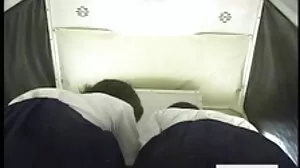 Bouchée de Viande pour Alix Lynx