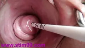 ButtBunny enfreint le brevet BangBike de M. Garrison !