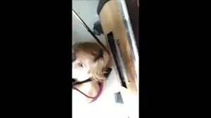 MYLF Festive PussyFucking pendant la Saint-Patrick!